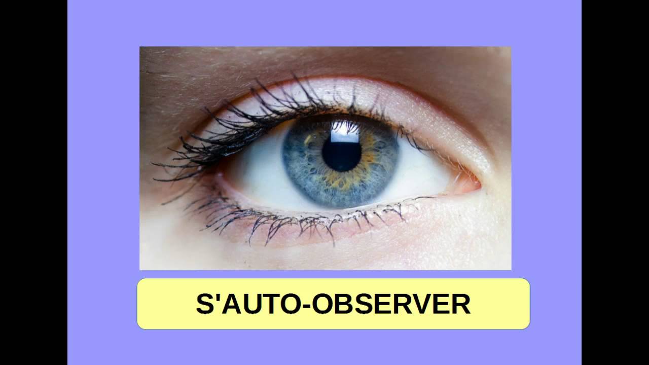 Comprendre la métacognition 🧠