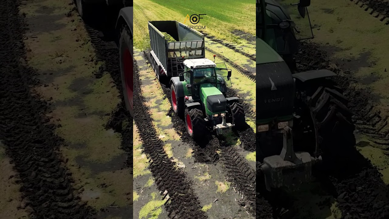 Embarré dans l'ensilage au Médoc 🚜