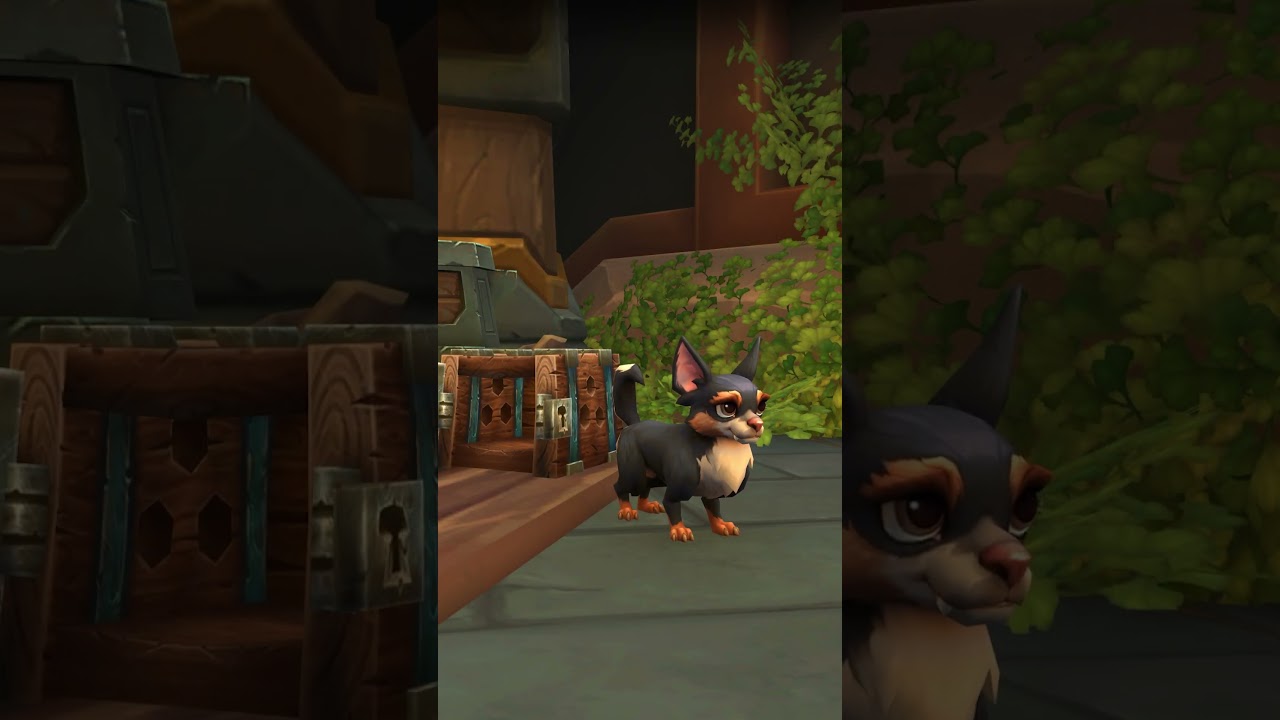 New Customizable Weechi Pet in WoW Patch 11.1.5