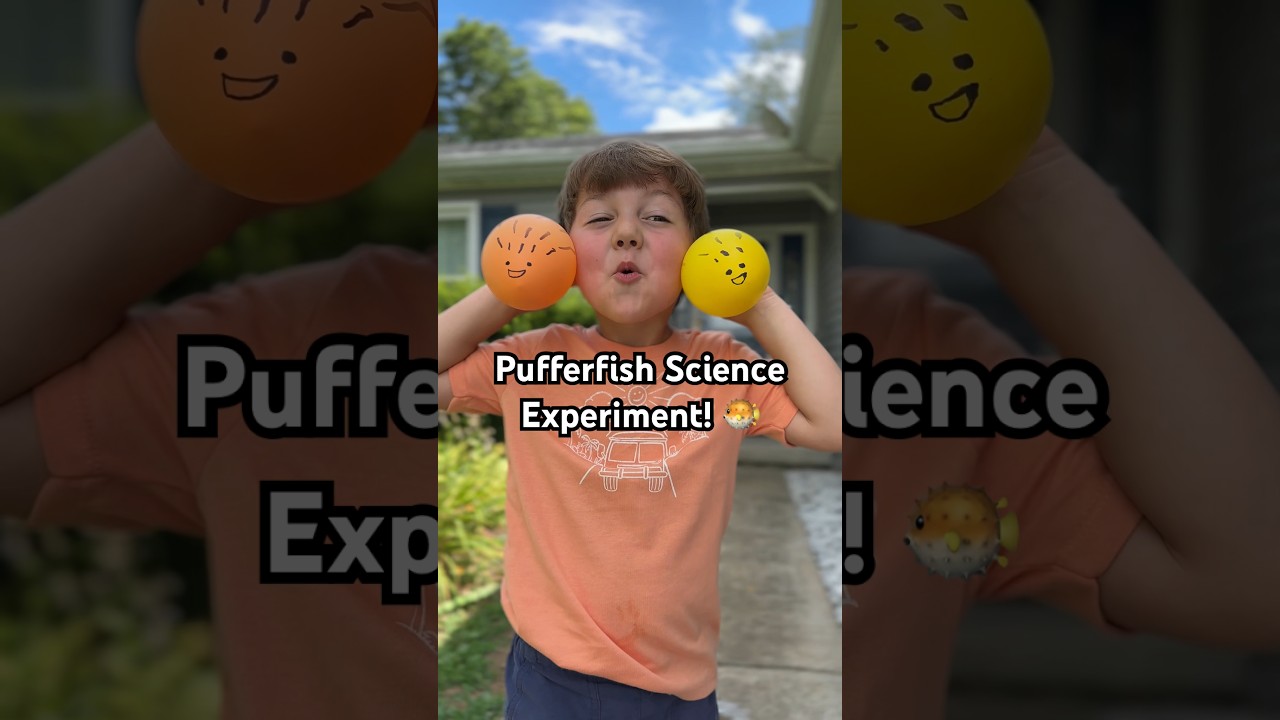 Pufferfish Science Experiment! 🐡 #momlife #scienceexperiment #science #learningthroughplay #shorts