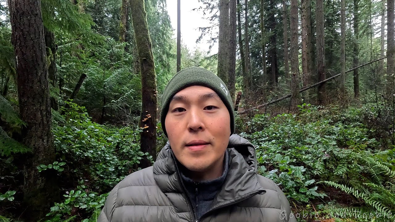 Hierarchy and Disease: Impact on All Levels 🌍