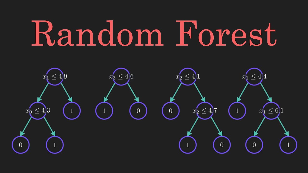 Master the Random Forest Algorithm: Clear Explanation & Visuals 🌳