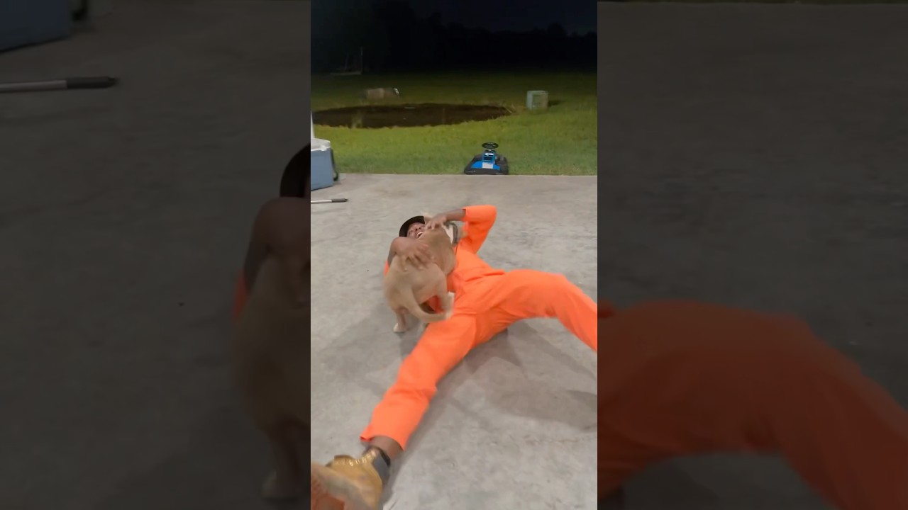 Evil Twin Gets Ambushed by Dog 🐶 | Short & Hilarious Encounter