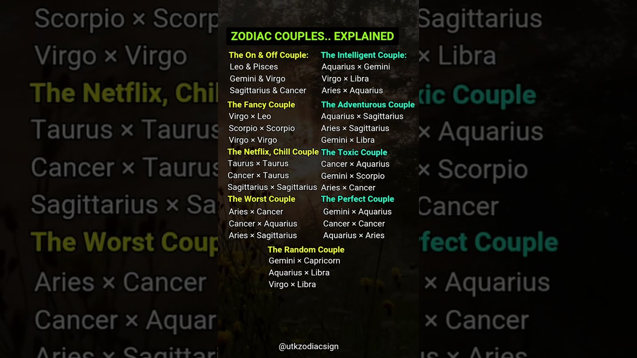 Zodiac Couples Explained 🌟