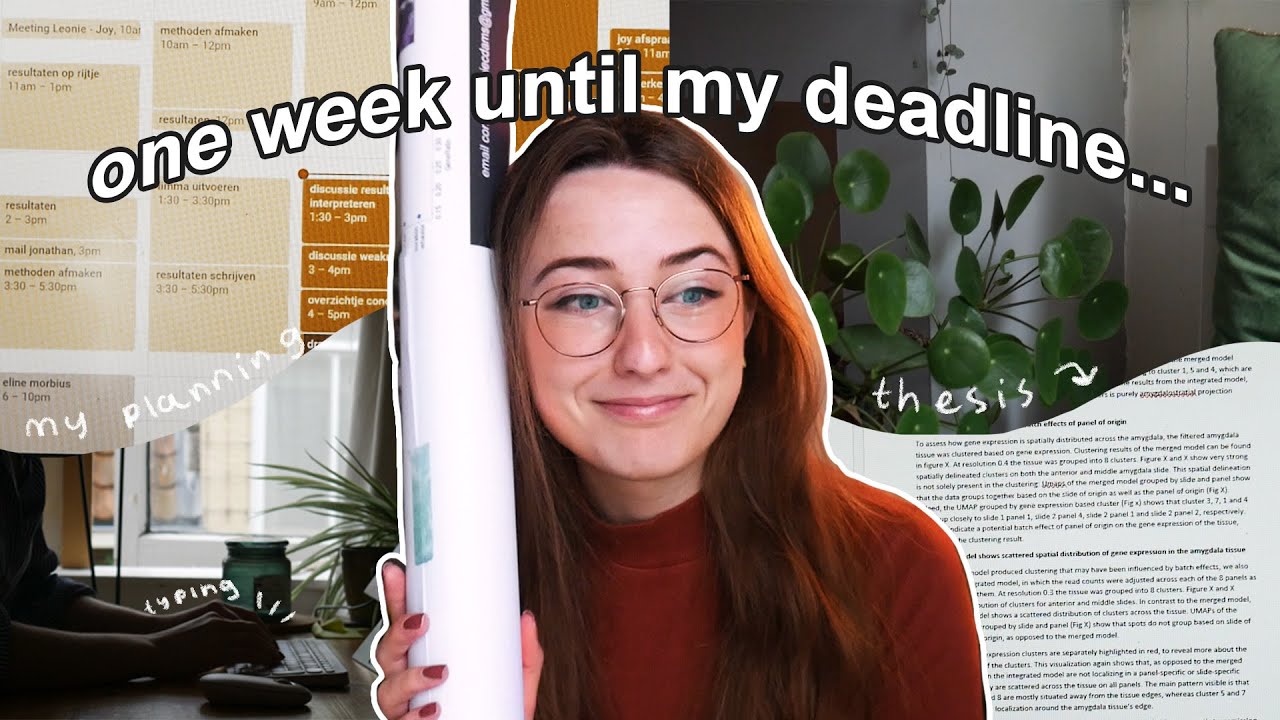 a week in my life finishing my thesis for harvard โ