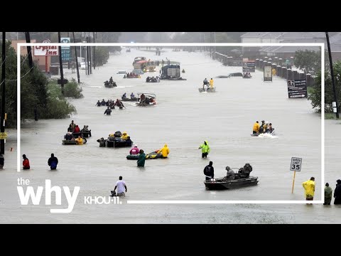 Hurricane Harvey's Devastating Flooding 🌊