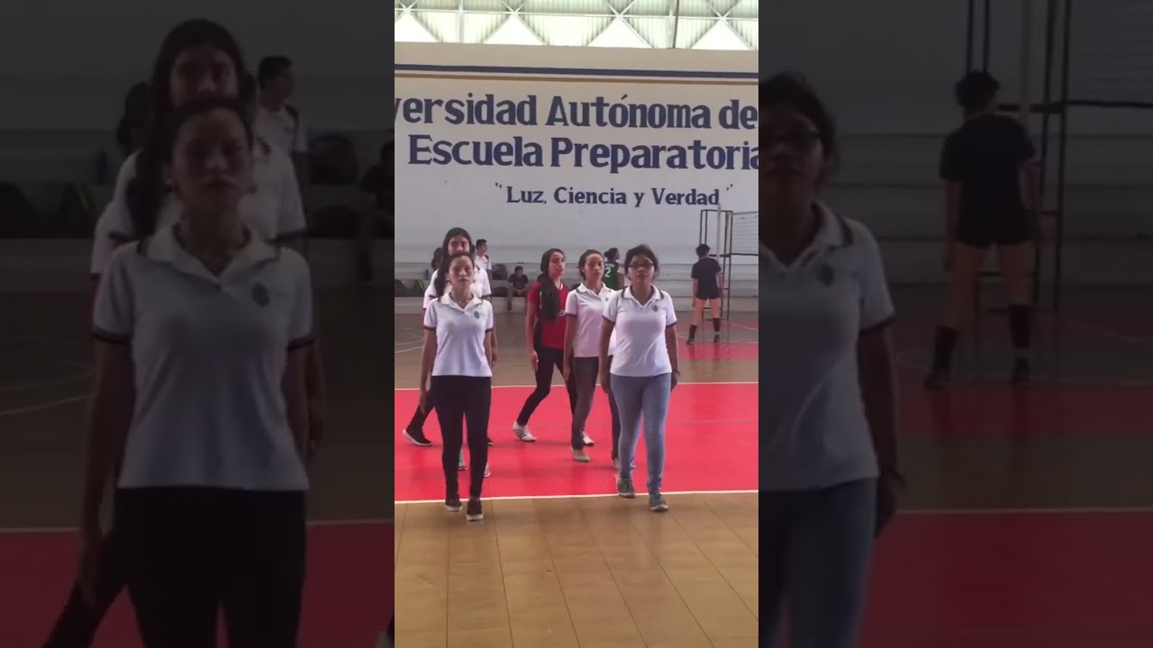 Formación de escolta en trenza ✨