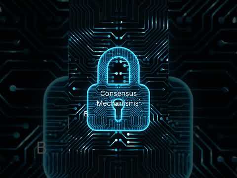 Blockchain  security and privacy