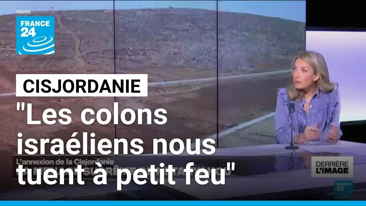 Cisjordanie : Les colons israéliens détruisent des oliviers et menacent la paix 🌿