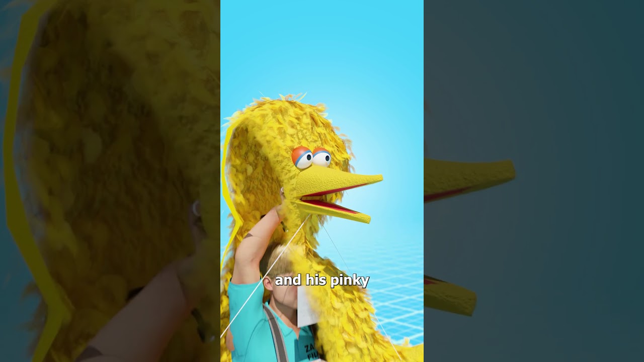 Who Really Controls Big Bird? 🤔