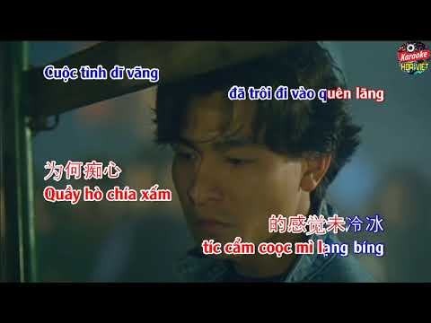 HOA VIỆT KARA | Karaoke Một Thuở Yêu Người 🇨🇳