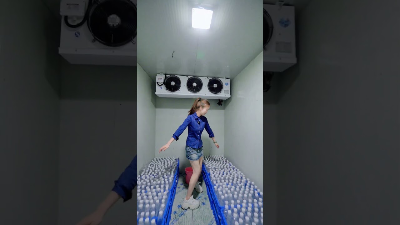 Top 10 Cold Room Brands by FLAND ❄️