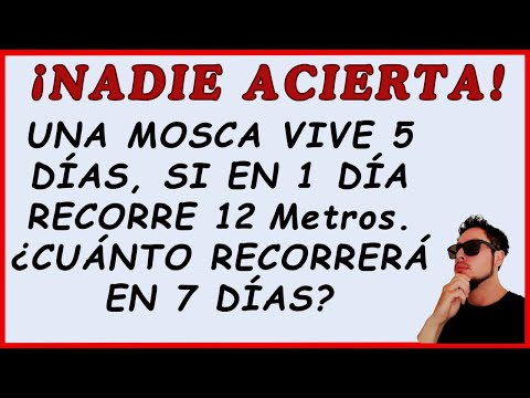 🔥Desafía tu Mente🔥5 Ejercicios de Razonamiento Lógico y Matemático