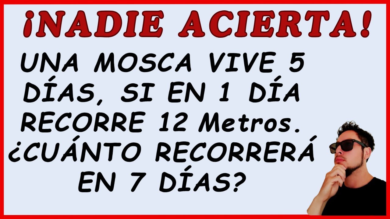 🔥Desafía Tu Mente con 5 Retos de Razonamiento Lógico y Matemático