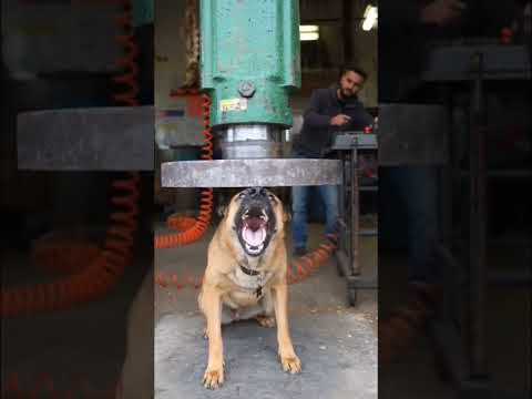 #ArtificialIntelligence #AIGeneratedVideo #AIContentCreation #GenerativeAI #FutureOfArt #funny