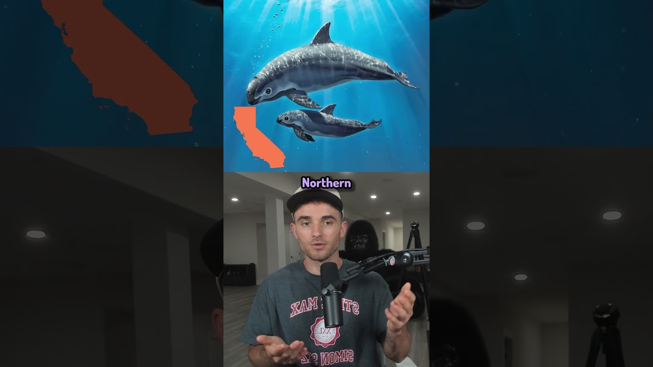 Earth’s Rarest Animals 🐾