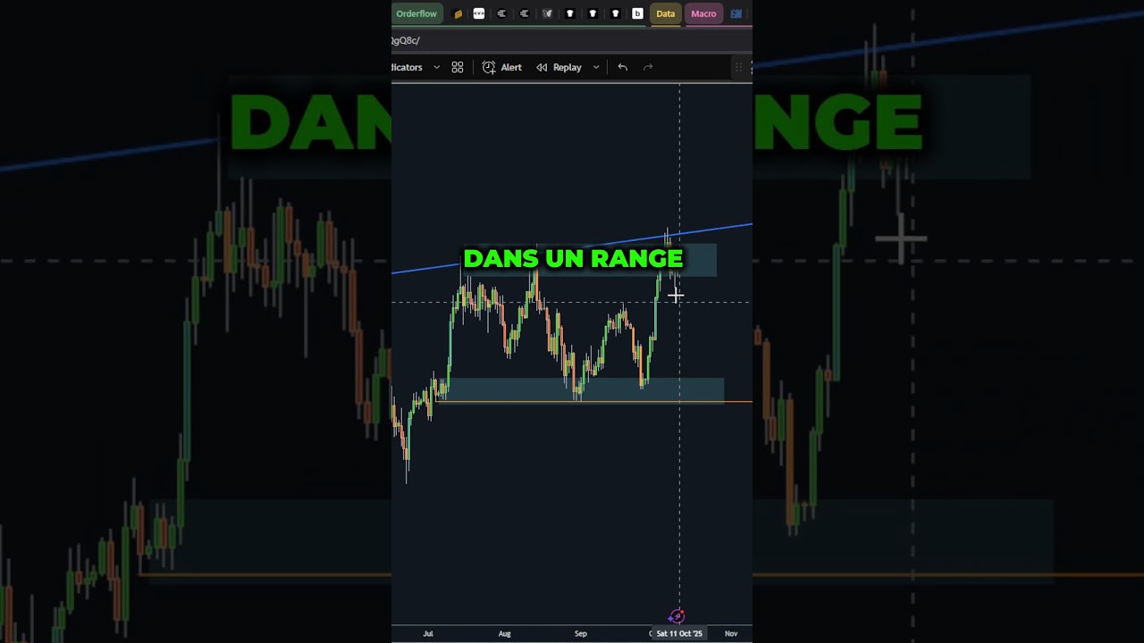 Bitcoin en Bear Market : Faut-il s'inquiéter ou profiter ? 📉