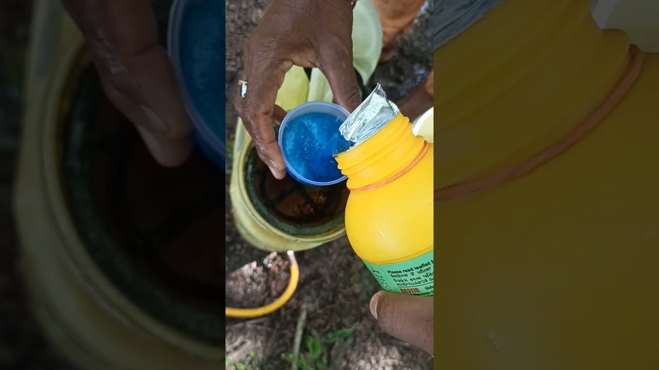 Proper Pesticide Spraying Tips for Crops 🌱