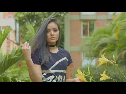 Canon CN-E Cinema Prime Lens - Camera Sensor Crop Test