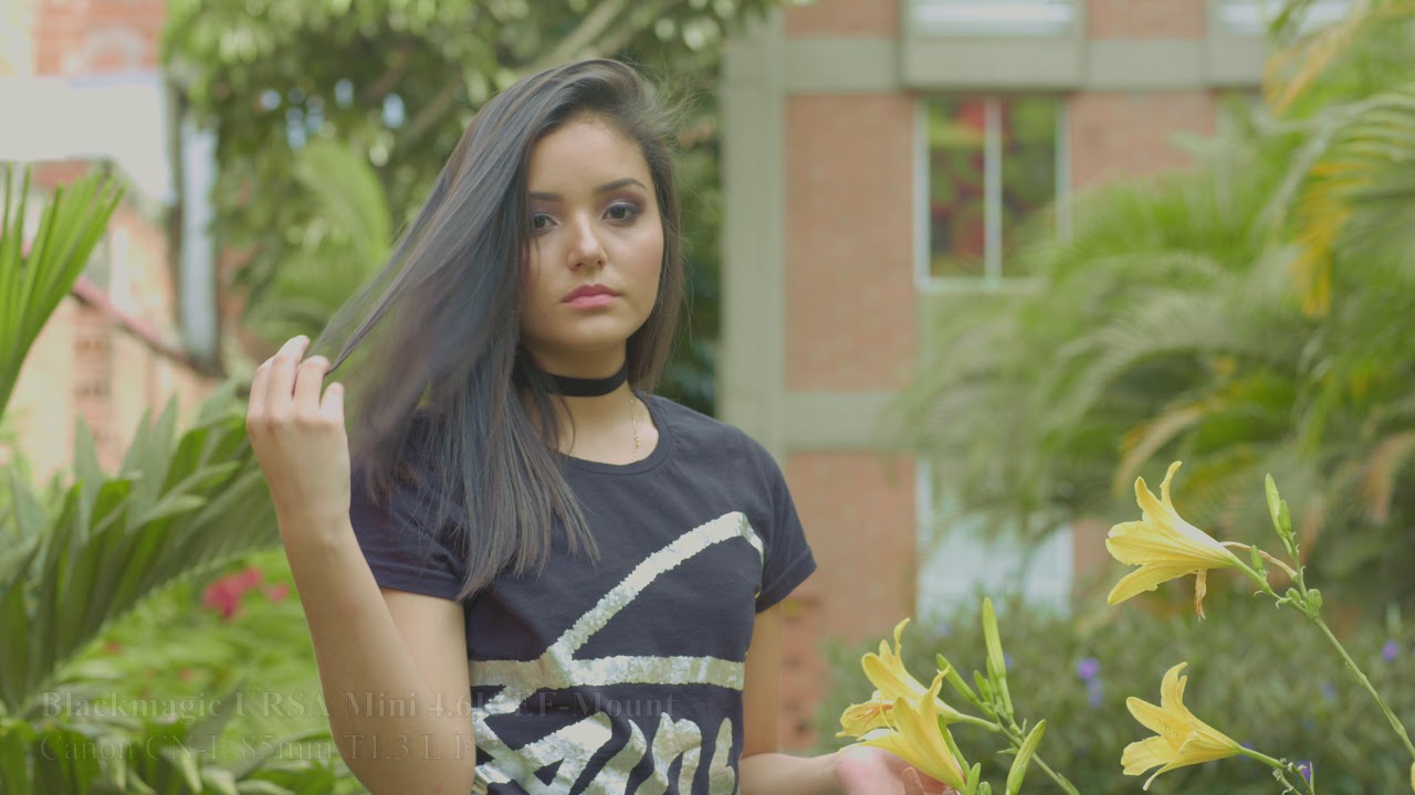 Canon CN-E Cinema Prime Lens: Sensor Crop Test Across Different Camera Sizes 🎥