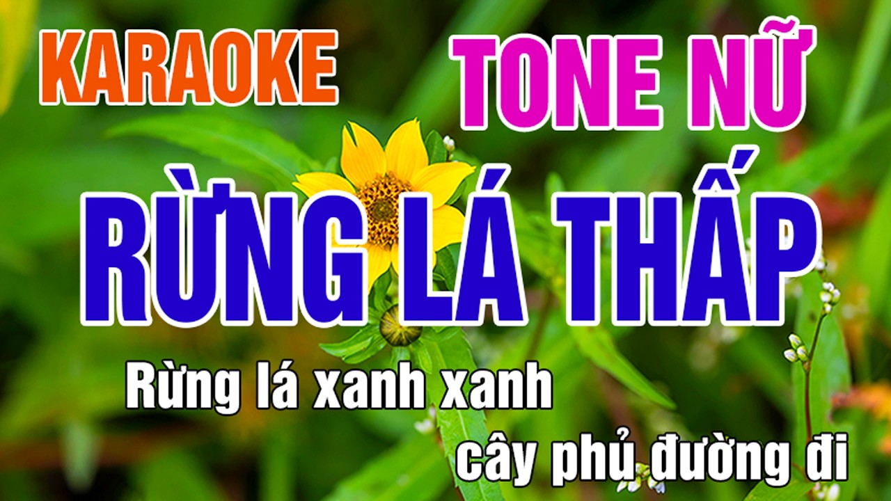 Rừng Lá Thấp Karaoke Nữ - Nhạc Sống Dễ Hát 🎤