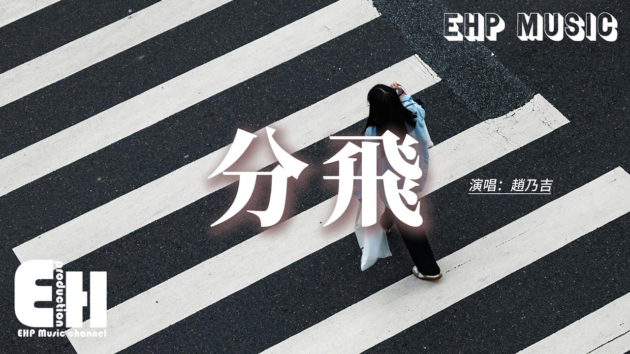 趙乃吉 - 分飛『雨紛飛 飛在天空裡是我的眼淚。淚低垂 垂在手心裡是你的餘味。』【動態歌詞MV】