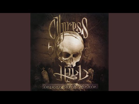 Insane in the Brain (Instrumental)