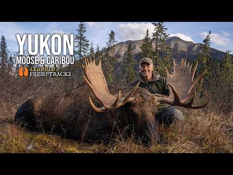 EPIC Caribou & Moose Hunt! | Randy’s Yukon Dream Hunt #FreshTracks