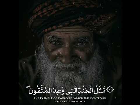 حالات واتس اب مؤثر الشيخ محمد اللحيدان