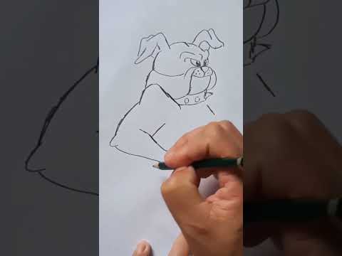COMO DESENHAR O SPIKE BULLDOG #SPIKEBULLDOG #TOMandJERRY