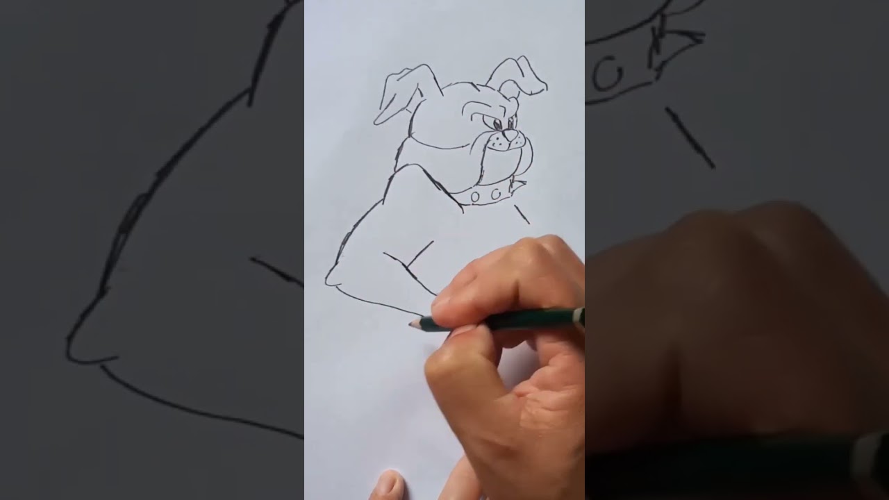 Como desenhar o Spike Bulldog: guia passo a passo #SpikeBulldog #TomAndJerry