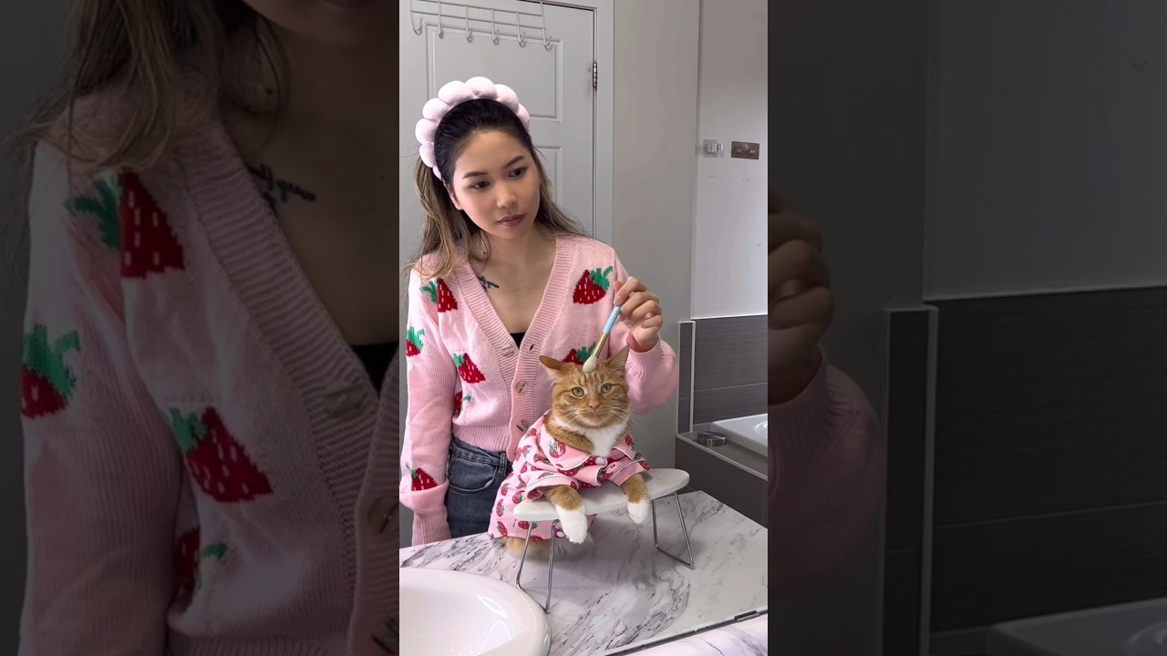 Cat Spa Day: Skincare Routine 🐱