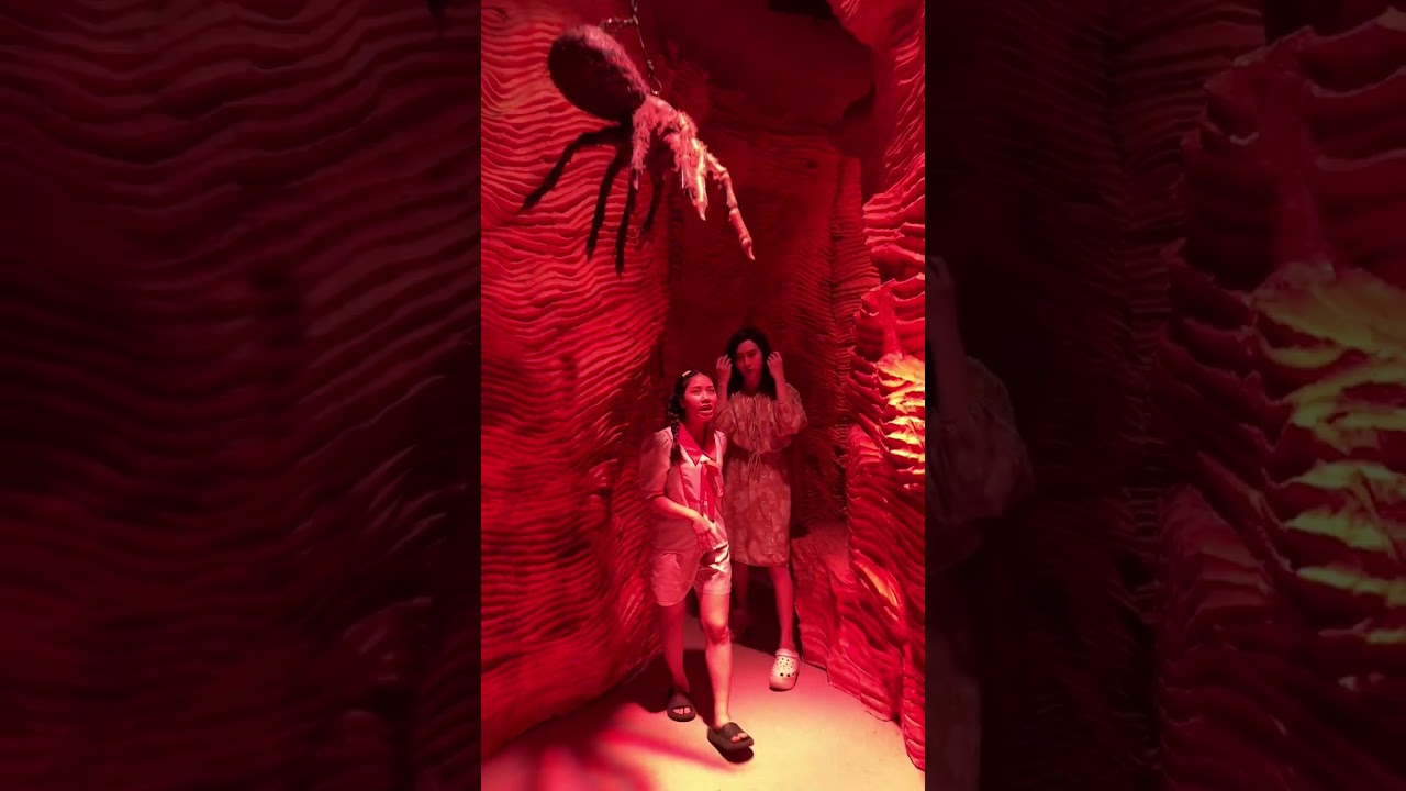 Bé Tín Nguyễn Urges Calm for Mẹ Khiết Đan 🌸