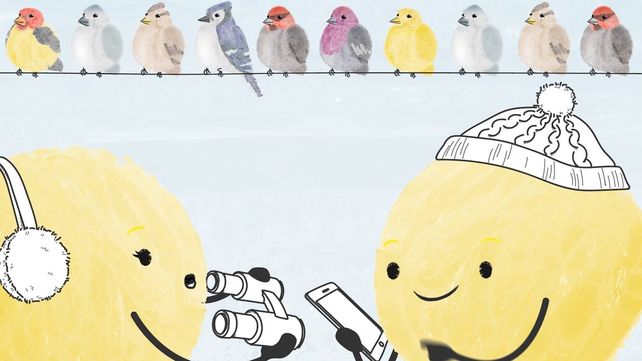 What Is Citizen Science? 🤝