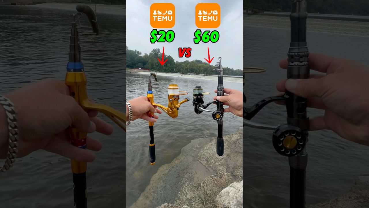 $20 vs $60 Temu Fishing Combo Deals ๐ฃ
