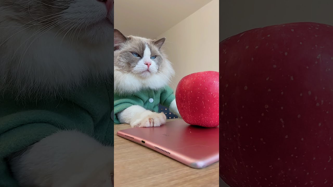 Try Apple Fries & Check Puff's New Cutting Board ๐
