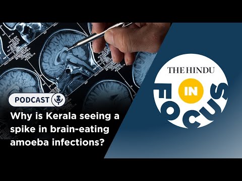 In Focus Podcast | Why is Kerala seeing a spike in brain-eating amoeba infections?