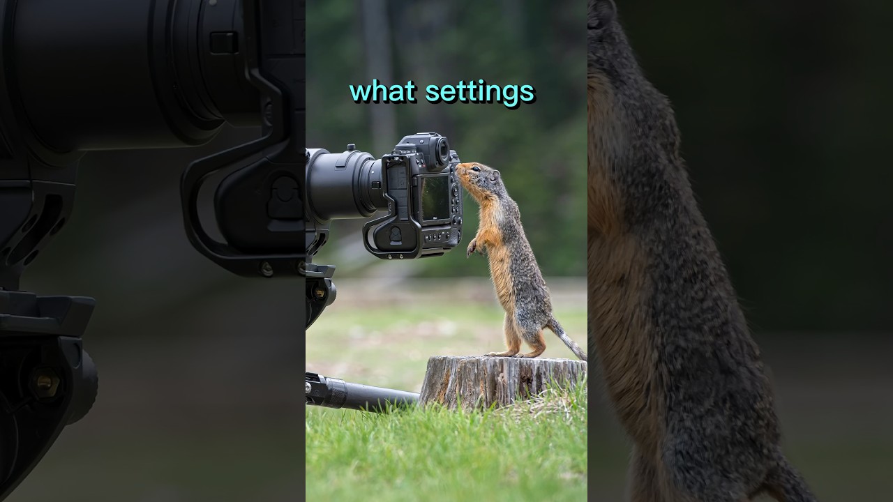 Ultimate Guide to Wildlife Photography: Master Manual Mode & Auto ISO 📷