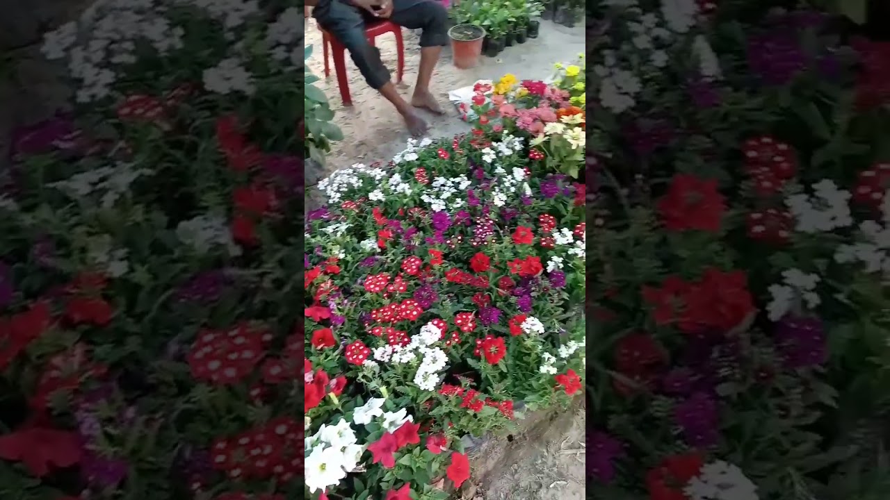 Classic 1992 YRF Film 'Aap Jo Mere Meet Na Hote' | Lata Mangeshkar & Divya Bharati 🎬