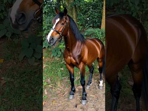 After the Injection… Little Brother Turns into a Horse! 🐴😱🤣