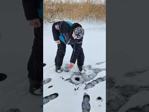 Поимка крупной щуки на небольшой реке #жерлицы