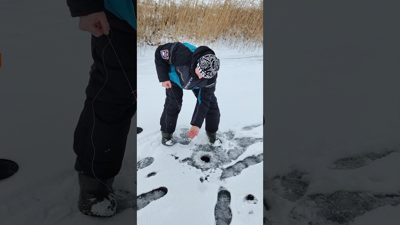 Как поймать крупную щуку на небольшой реке с помощью жерлиц 🎣