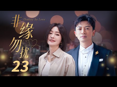 【ENG SUB】《非缘勿扰》 第23集 肖强给刘琳送爱心早餐 陆西诺对刘琳言语冷淡  （主演：苏有朋、秦岚、熊乃瑾、谭俊彦 ）【CCTV电视剧】