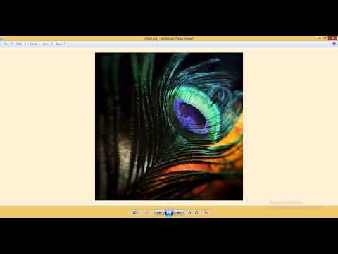 Halftone visual cryptography