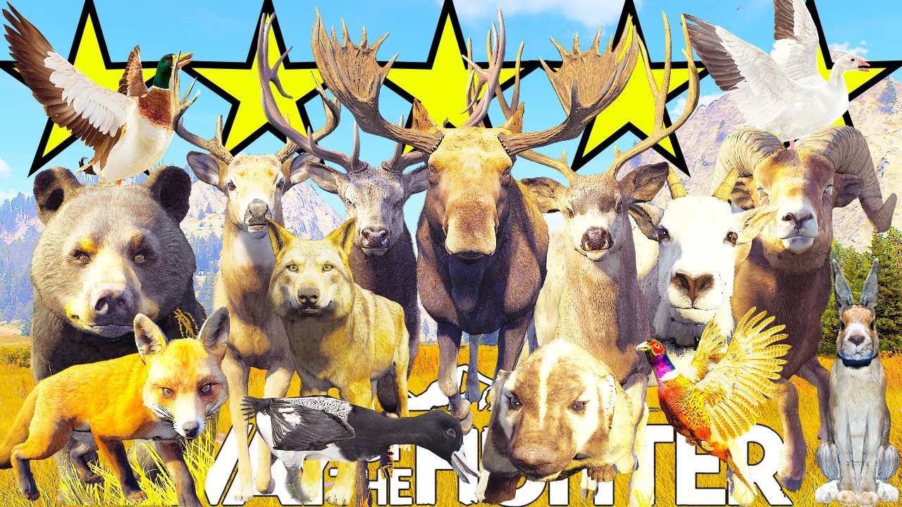 Every animal on Nez Perce Valley BUT They Are All 5 Stars! | Way of the Hunter