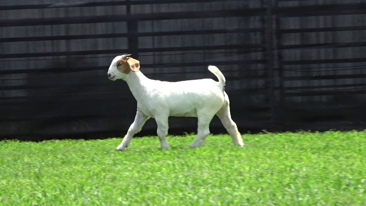 Lot 6 - 6-24-19 Overview