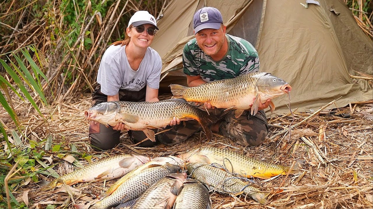 Удивительный клев сазана 🎣 – Ночная рыбалка с закидушками