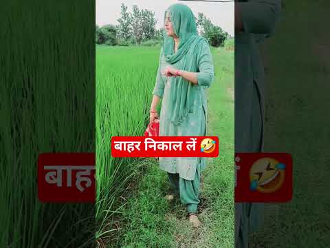 बाहर निकाल लें 🤣🤣 हरियाणवी कॉमेडी videos #view #haryanvi #comedy #funny #reels #trend #viral #view