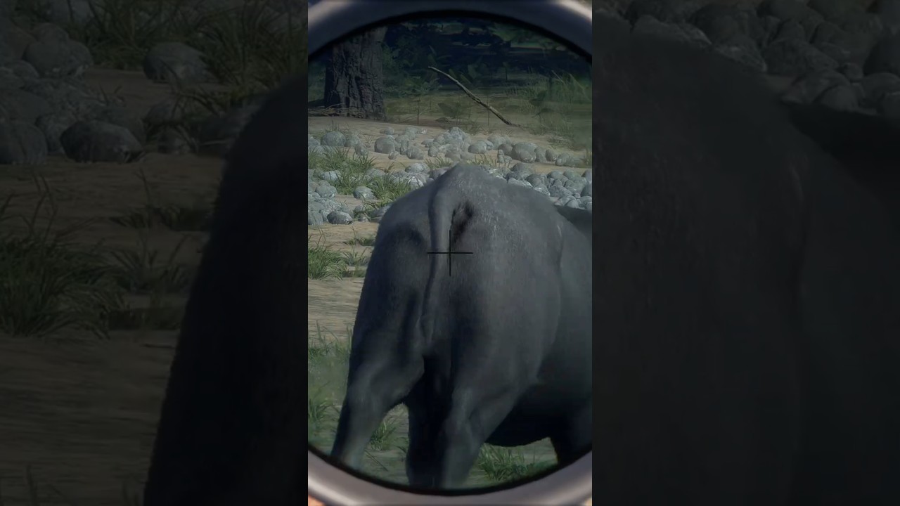 Angry Tiger Hunt in Sundarpatan ππ«