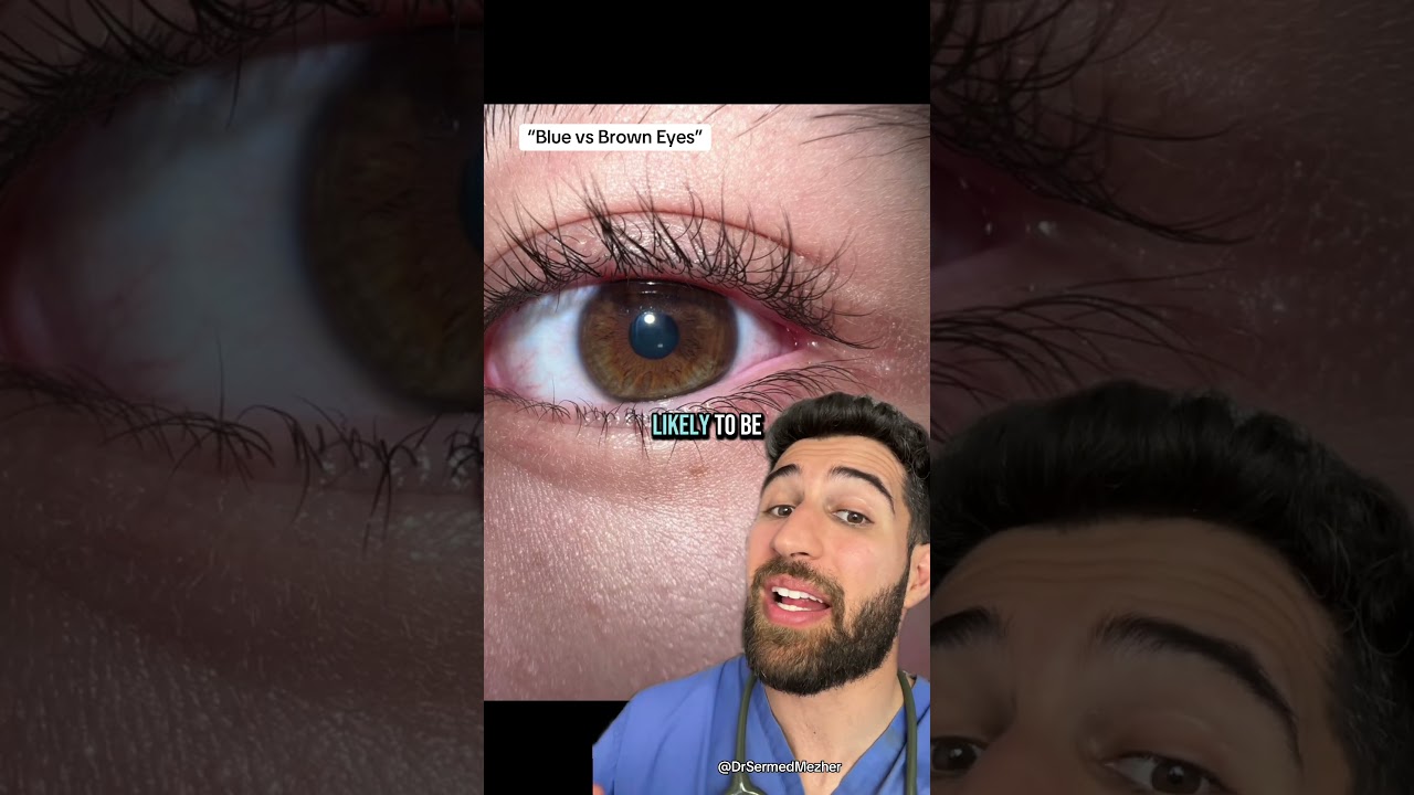 “Blue vs Brown Eyes” #fight